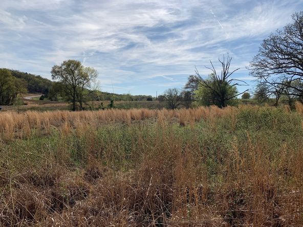 TBD Pleasant View Rd: TBD Pleasant View Rd, Ozark, AR 72949